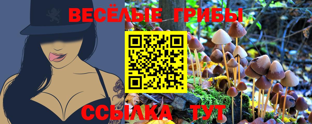 Псилоцибиновые грибы Psilocybe  даркнет сайт  Старая Купавна  Вход с VPN 