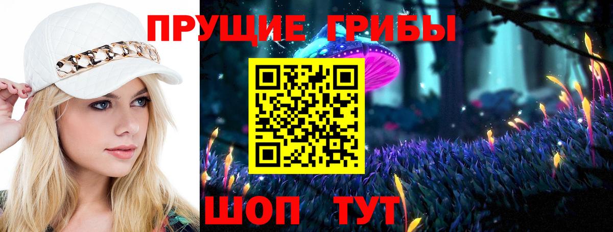Галлюциногенные грибы Psilocybe Старая Купавна